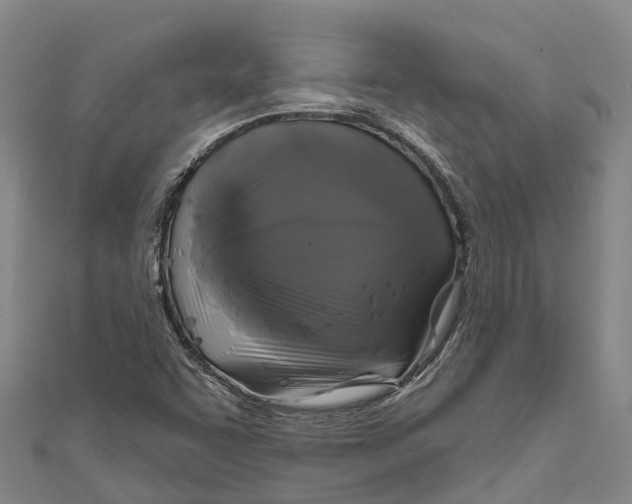 X0000111001455200907101442