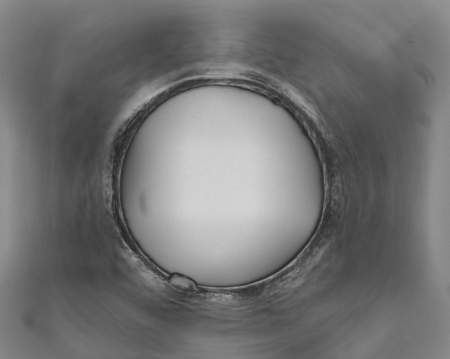 X0000111001456200907101442