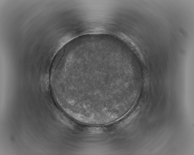 X0000111001457200907101441