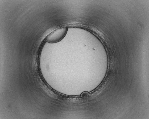 X0000111001458200907101441