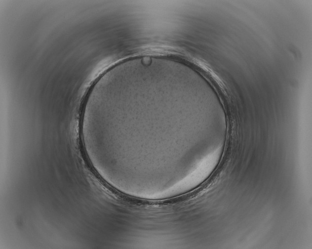 X0000111001459200907101441