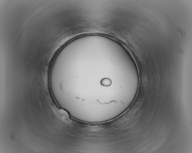 X0000111001460200907101441