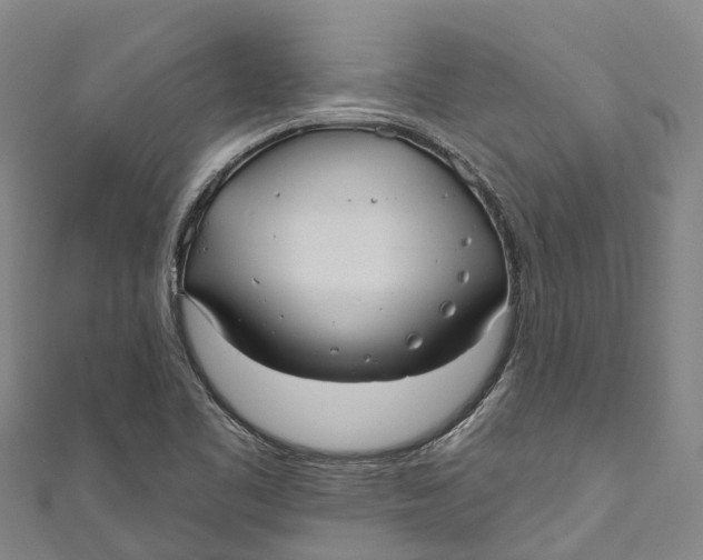 X0000111001461200907101441