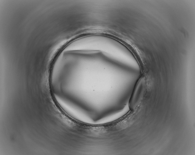 X0000111001464200907101441