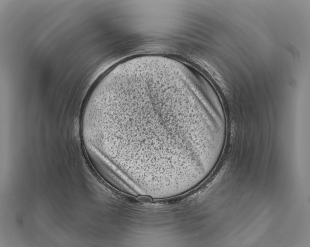 X0000111001465200907101441