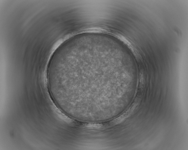 X0000111001466200907101441