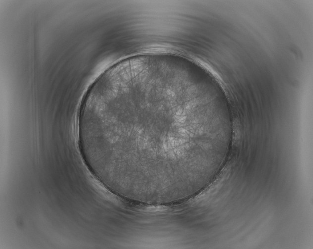 X0000111001467200907101441