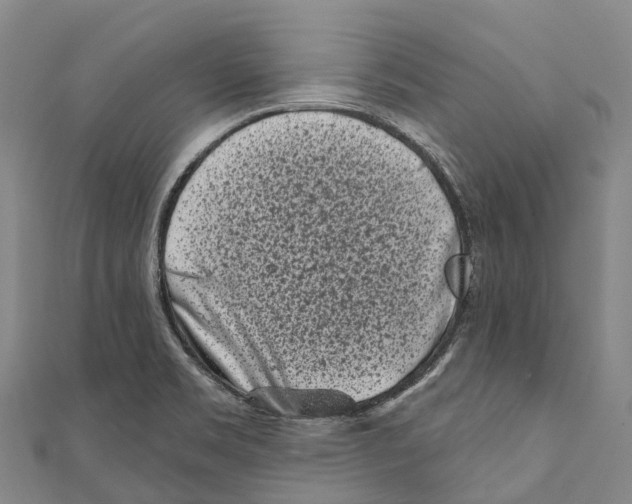 X0000111001469200907101441