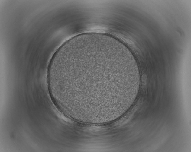 X0000111001470200907101441