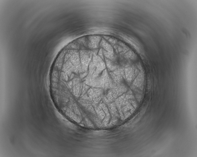 X0000111001471200907101441