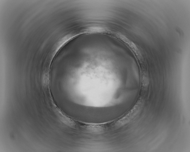 X0000111001473200907101441