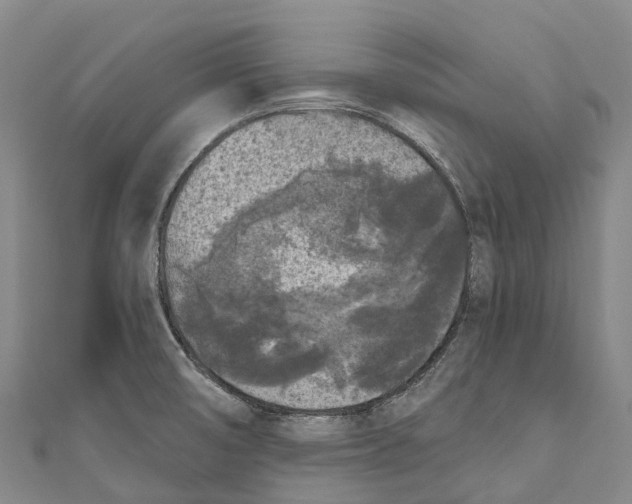 X0000111001474200907101441