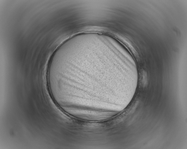 X0000111001475200907101441