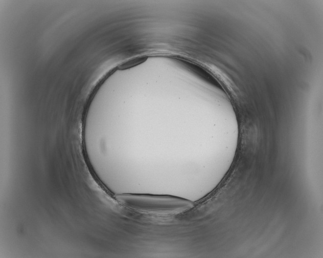 X0000111001476200907101441