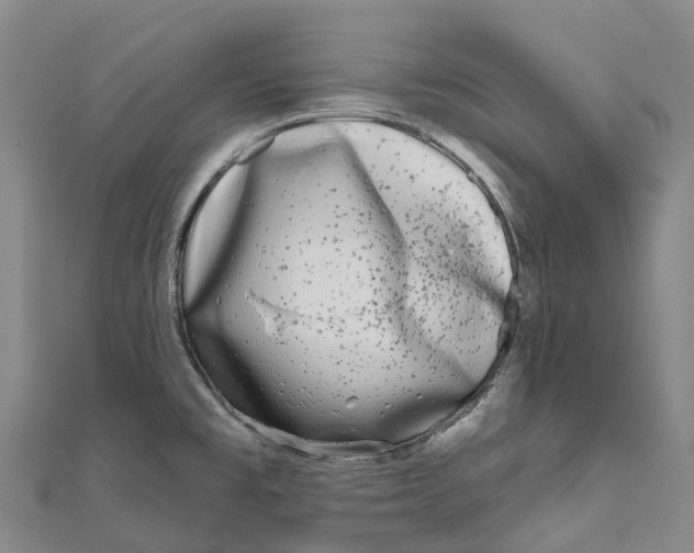 X0000111001477200907101441