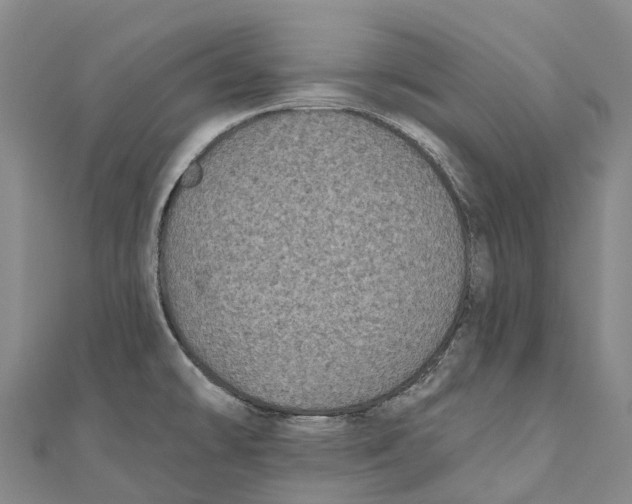 X0000111001478200907101441