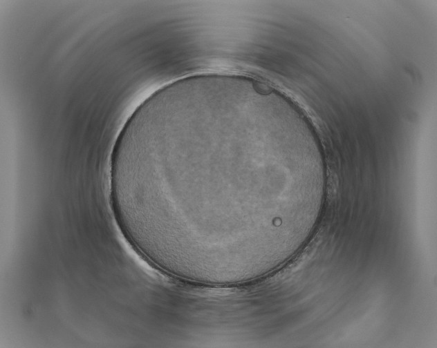 X0000111001479200907101441