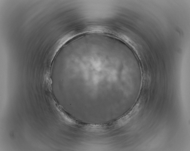 X0000111001481200907101441