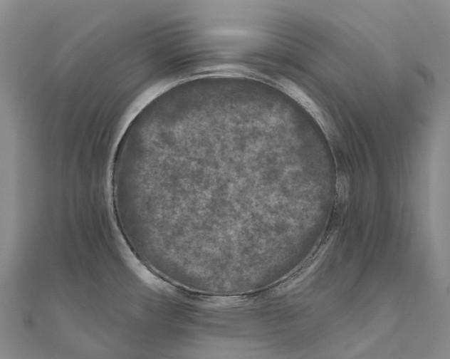 X0000111001482200907101441