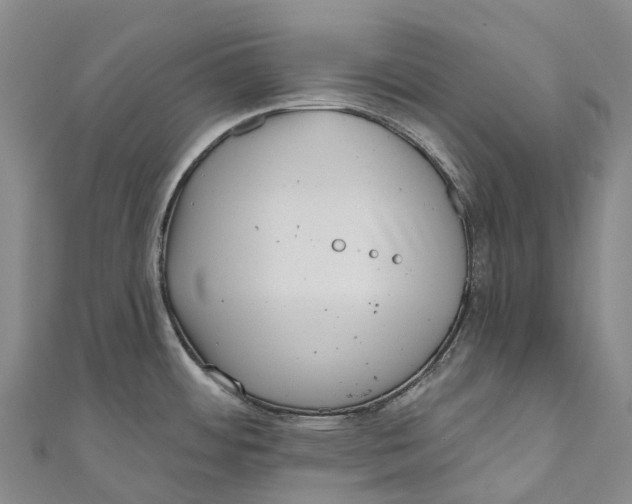 X0000111001484200907101441