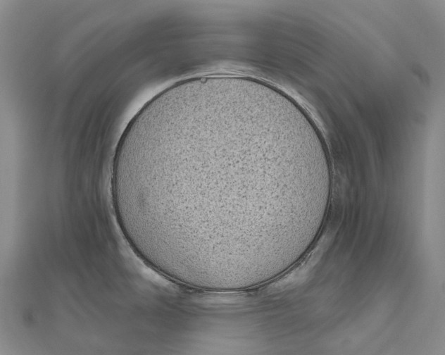 X0000111001486200907101441