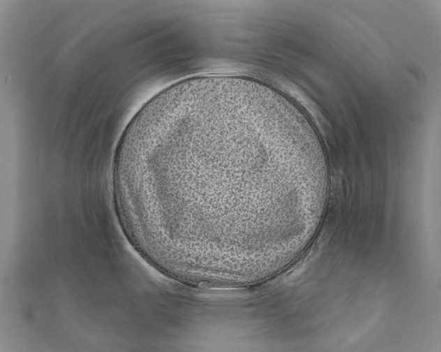 X0000111001487200907101441