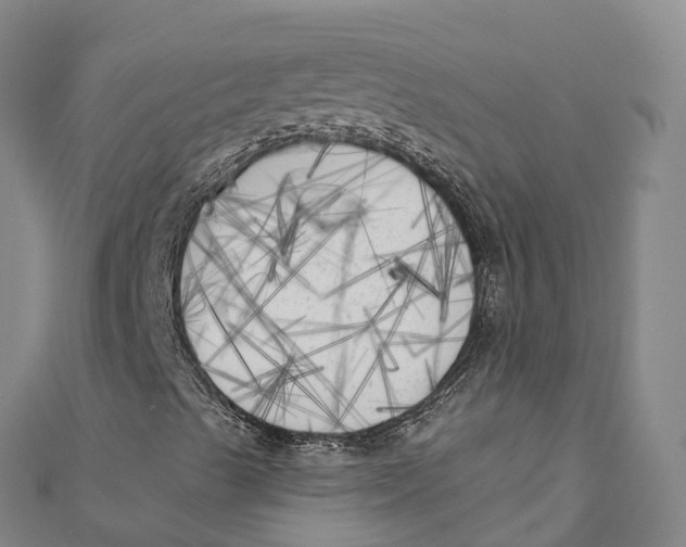 X0000111001489200907101440