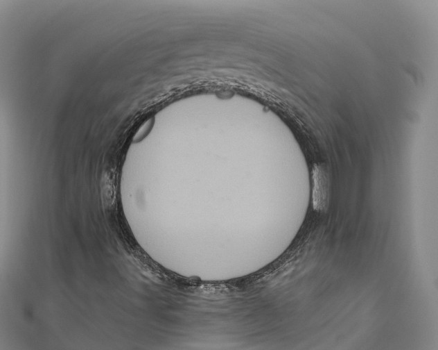 X0000111001491200907101441