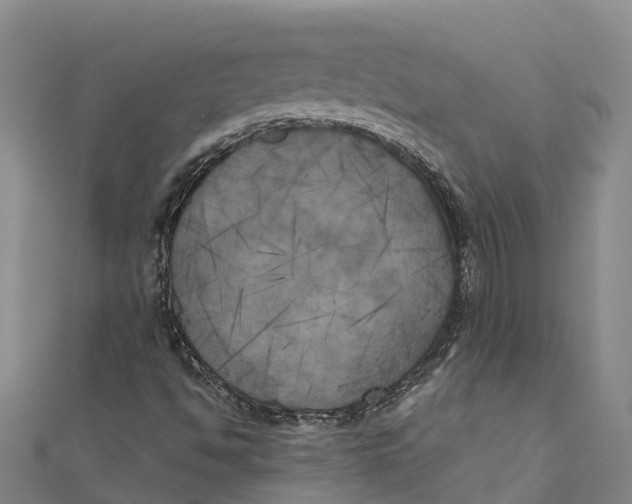 X0000111001494200907101441