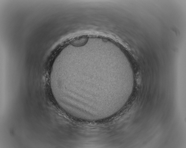 X0000111001495200907101441