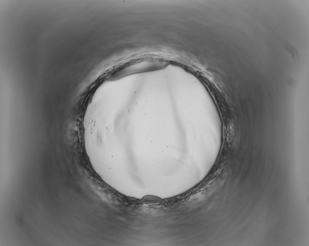 X0000111001496200907101441