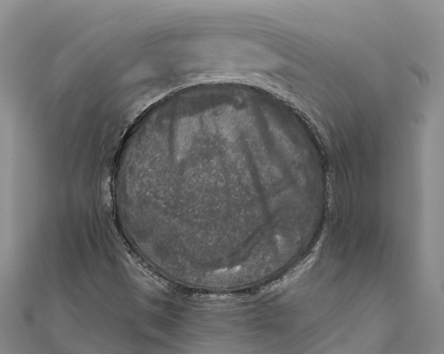 X0000111001497200907101441