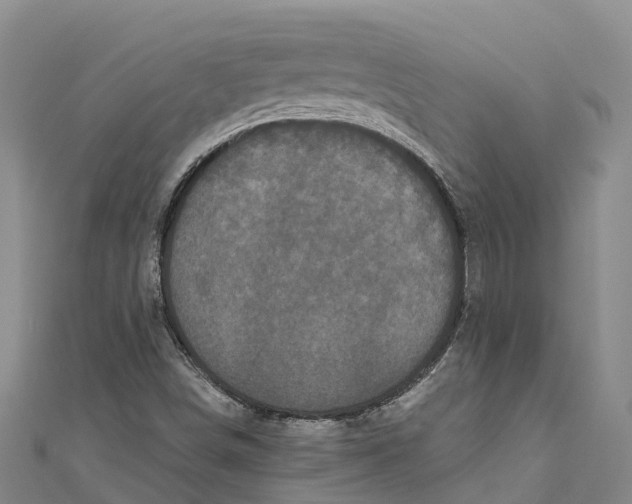 X0000111001498200907101441