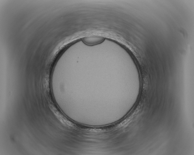 X0000111001499200907101441