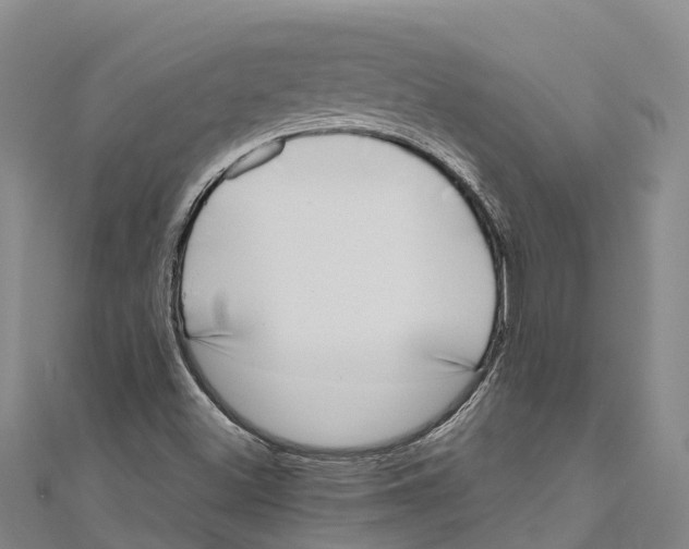 X0000111001500200907101441