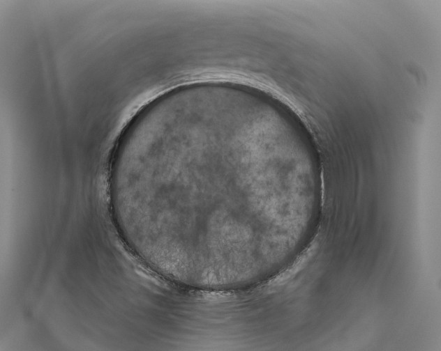 X0000111001501200907101441