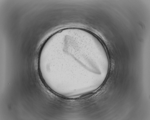 X0000111001504200907101441