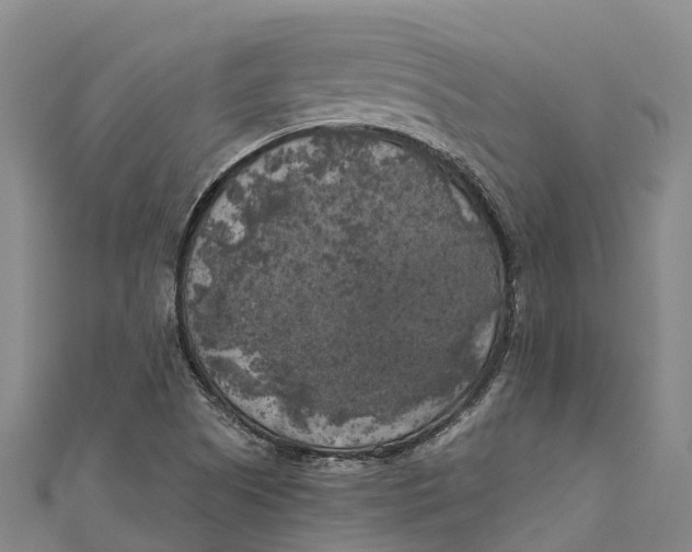 X0000111001505200907101441