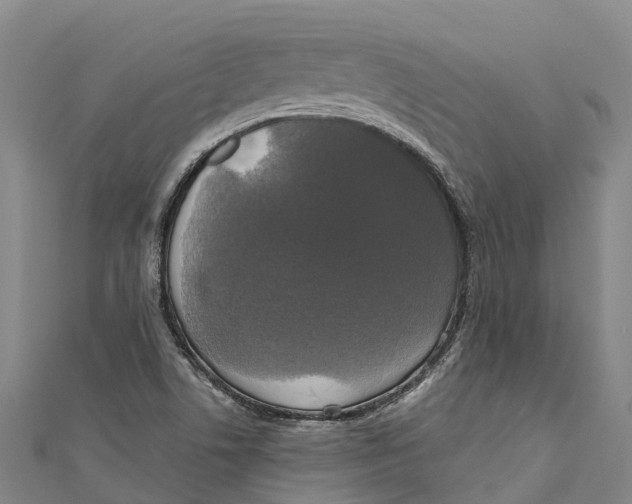 X0000111001506200907101441