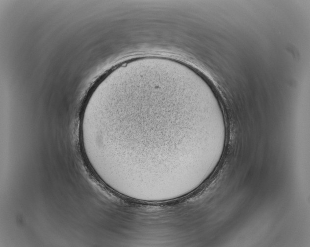 X0000111001507200907101441