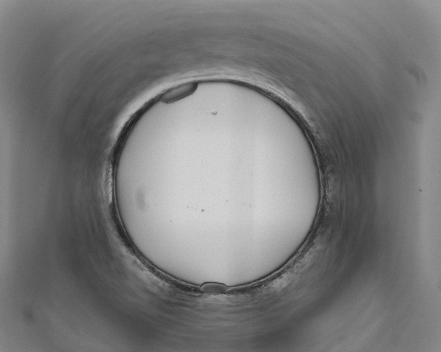 X0000111001510200907101441