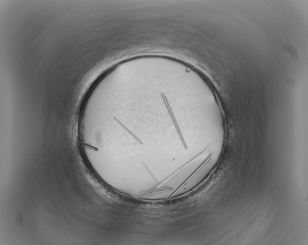 X0000111001511200907101441