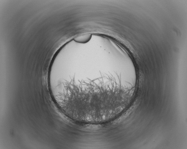 X0000111001513200907101441