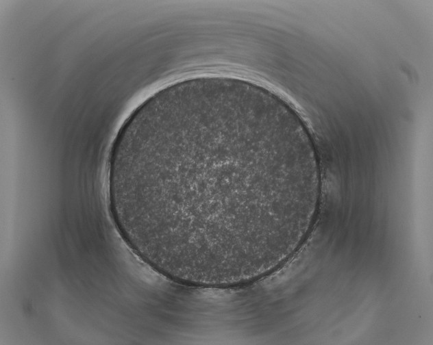 X0000111001514200907101441