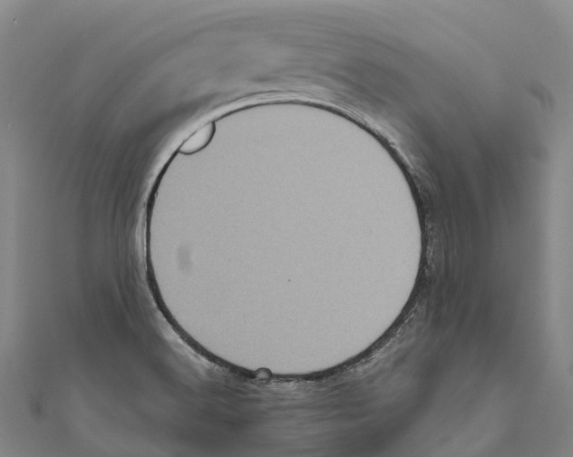 X0000111001516200907101441