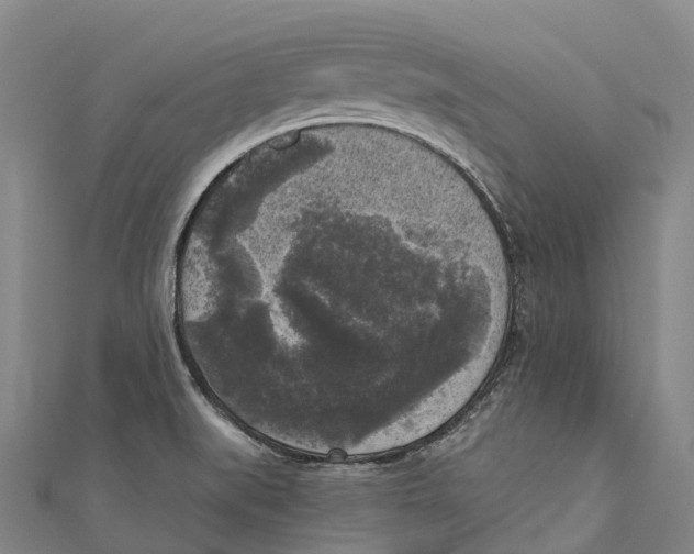 X0000111001519200907101441