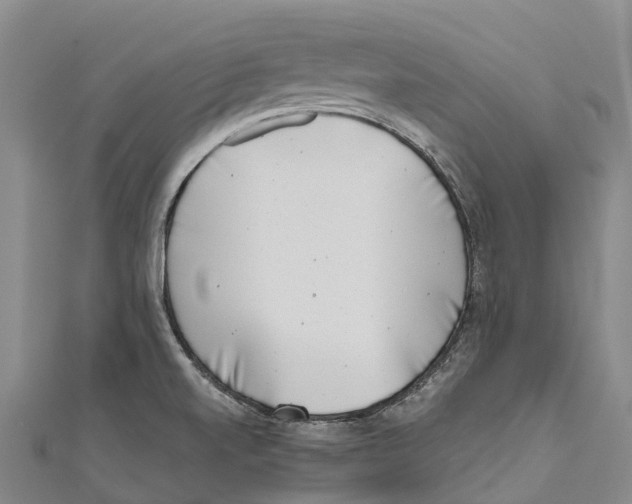 X0000111001520200907101441