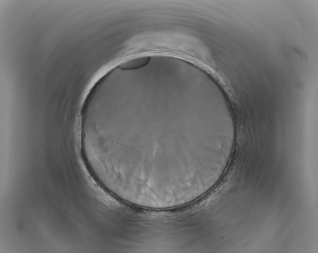 X0000111001522200907101441