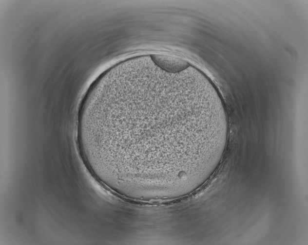 X0000111001523200907101441