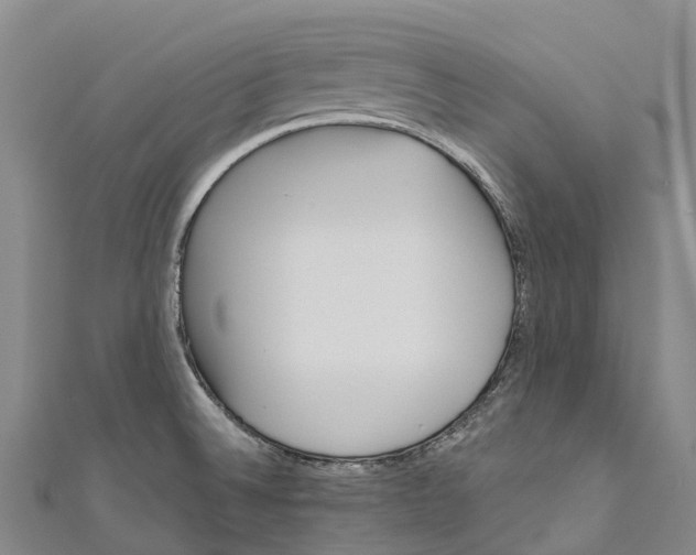 X0000111001524200907101441